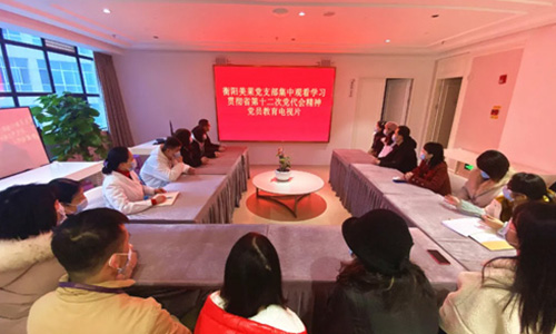 衡阳美莱党支部组织学习省第十二次党代会精神